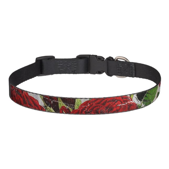 Red Roses Flower Garden Pet Collar (Front)