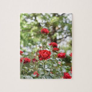 Red Roses Flower Nature Photography Garden Jigsaw Puzzle