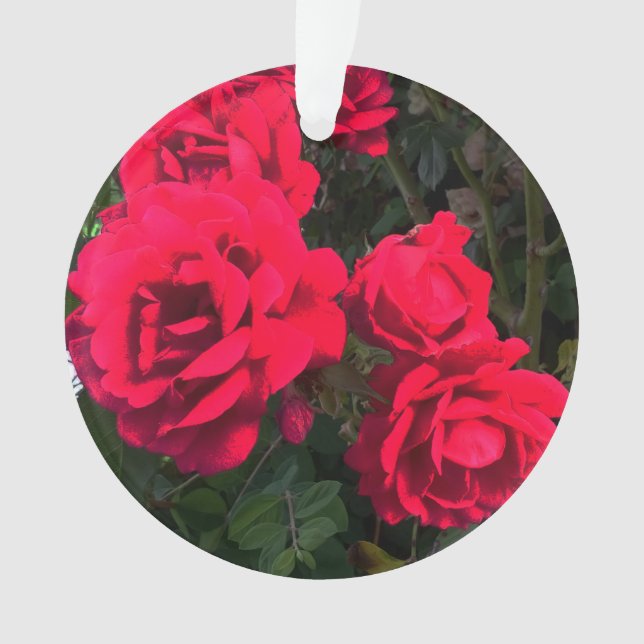 Red Roses Flowers   Ornament (Front)