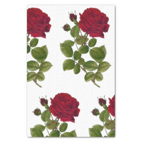 Red Roses Garden Tissue Paper 10x15