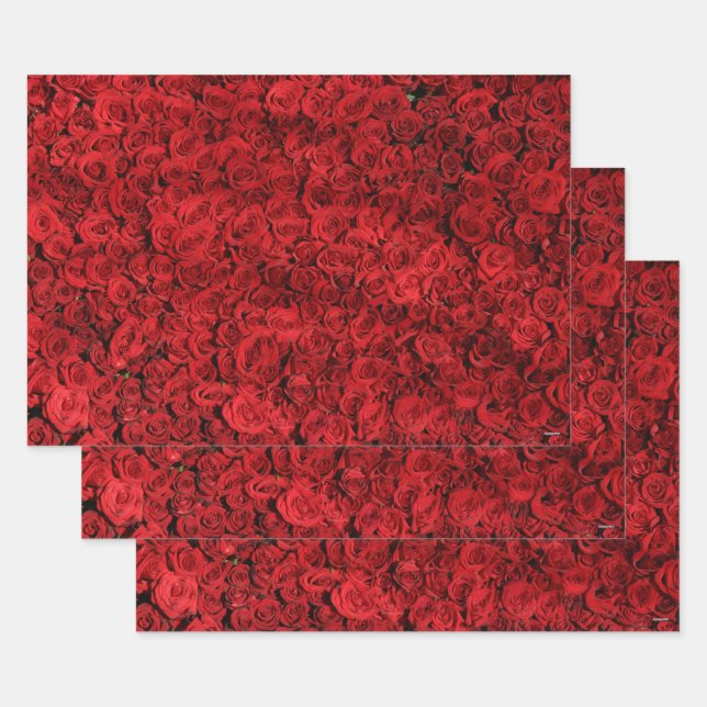 Red Roses Gift Wrap HAMbyWG (Set)