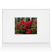 Red Roses Greenhouse Cards (Inside Horizontal (Top))