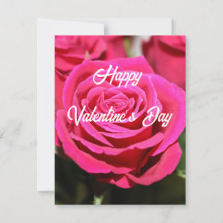 Red roses holiday card