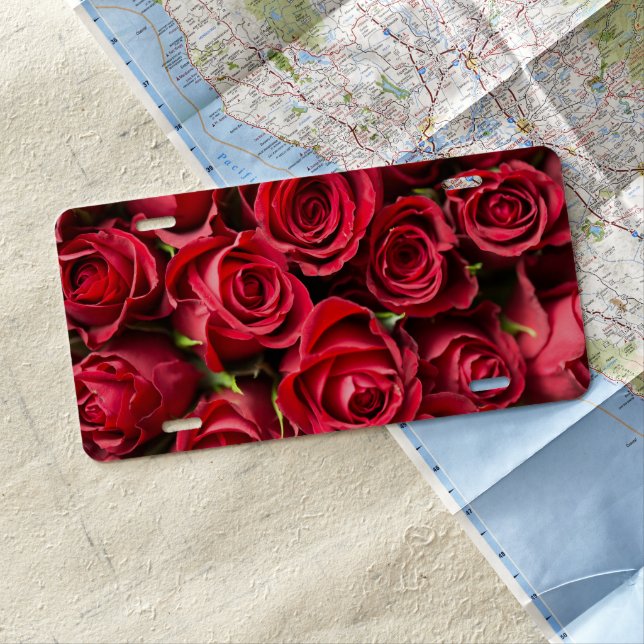 Red Roses License Plate (In Situ)
