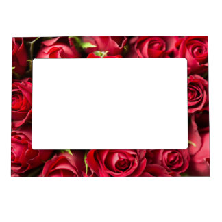 Red Roses Magnetic Frame