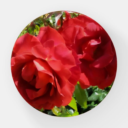 Red Roses Paperweight