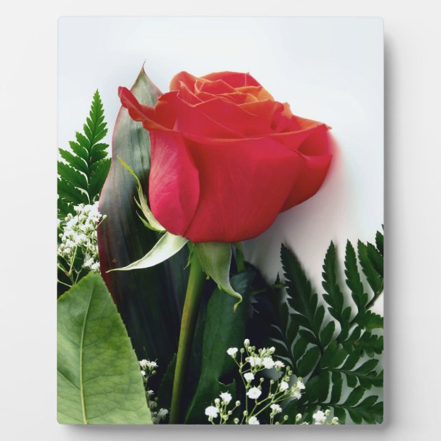 Red roses plaque (Front)