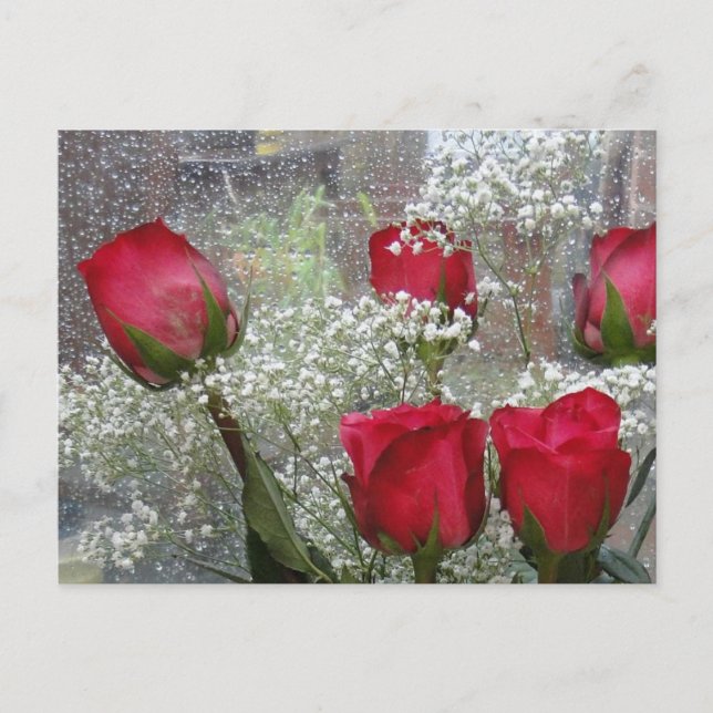 Red roses postcard (Front)