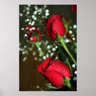 Red Roses Poster