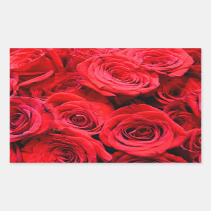 Red Roses red floral red flowers Rectangular Sticker