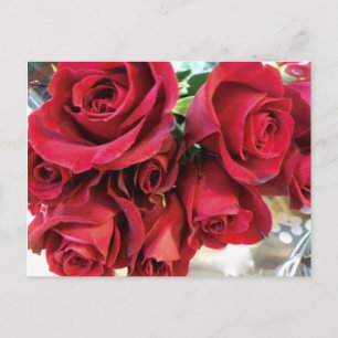Red roses Save the Date postcard