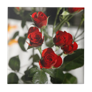 Red roses tile
