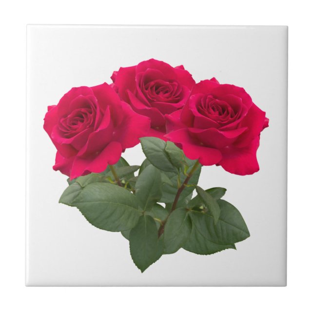 Red roses tile (Front)