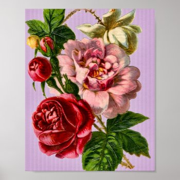Red Roses Vintage Floral Poster by LeAnnS123 at Zazzle