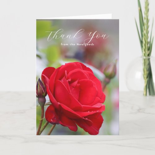 Red Roses Wedding Thank You Message