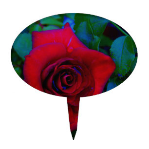 Red Roses with blue tones Cake Topper