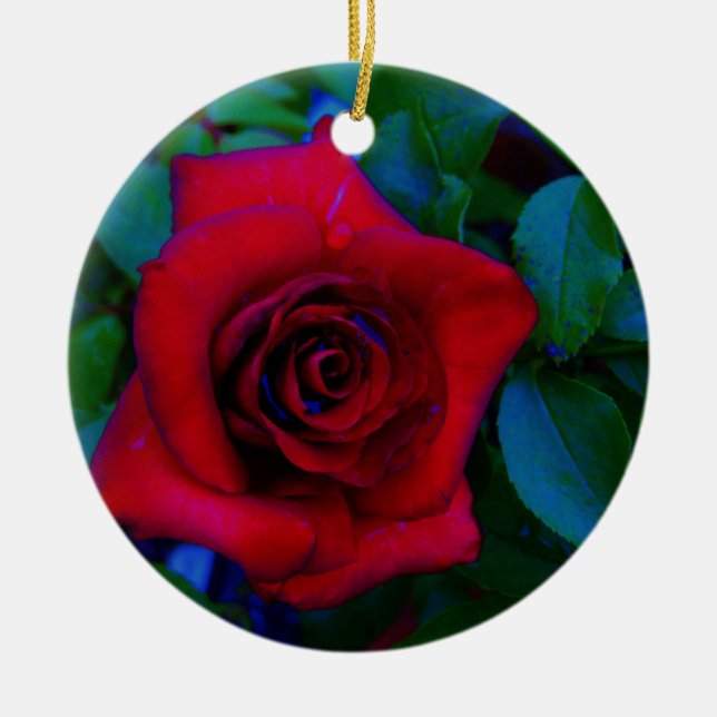 Red Roses with blue tones Ceramic Ornament (Front)