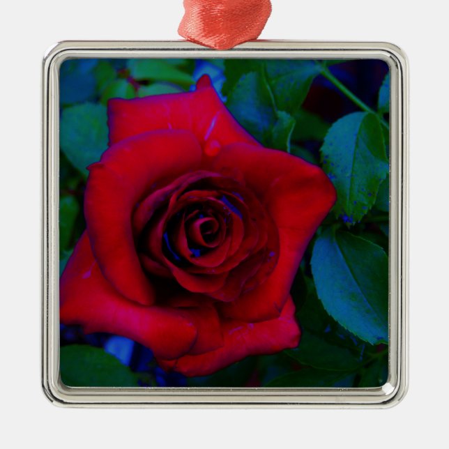 Red Roses with blue tones Metal Ornament (Front)
