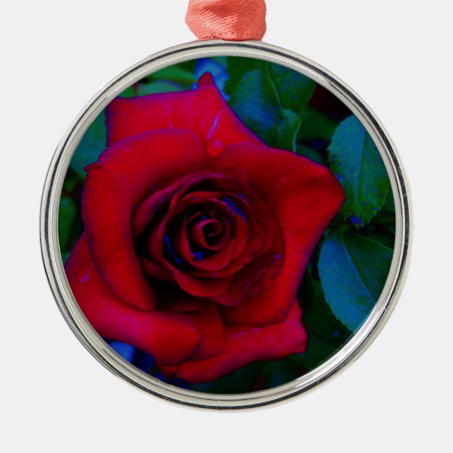Red Roses with blue tones Metal Ornament (Front)