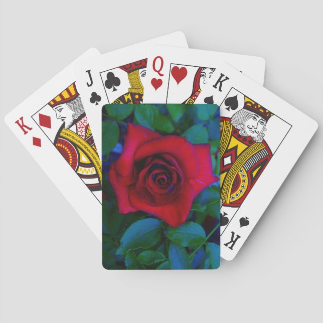 Red Roses with blue tones Poker Cards (Back)
