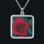 Red Roses with blue tones Silver Plated Necklace<br><div class="desc">Red Roses with blue tones Red Rose Lovely red rose background read to cutumize with you text. Great for any rose lover. Photo by Sandy Closs,  taken at Lake Arrowhead. "red rose""red roses""pink rose""pink roses""weddings""love gift""red flower""red flowers""red floral" red blue rose roses "gifts with roses"</div>