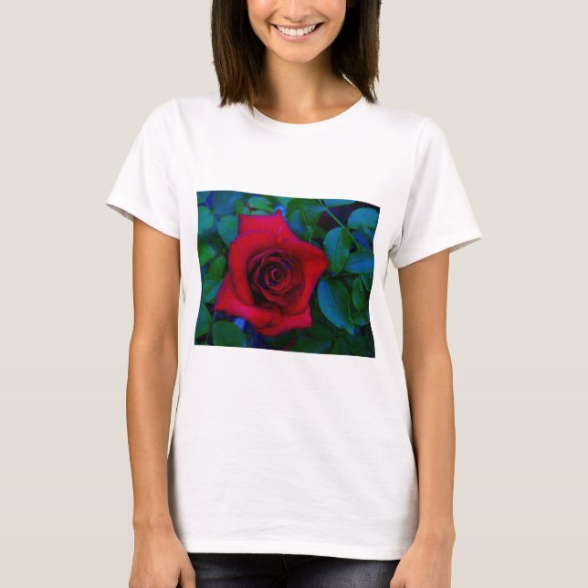 Red Roses with blue tones T-Shirt (Front)