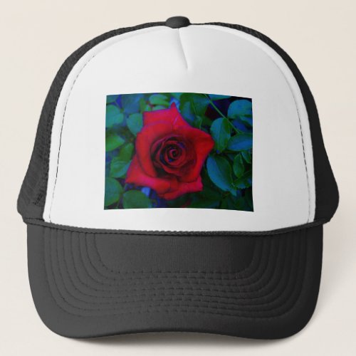 Red Roses with blue tones Trucker Hat