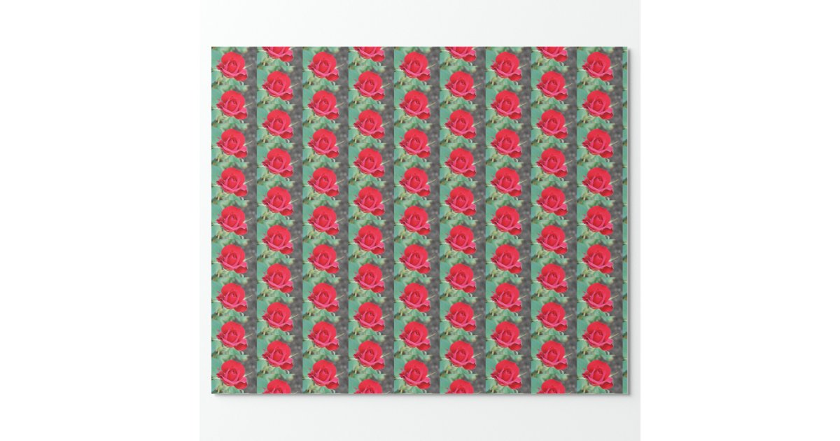 Red Rose Wrapping Paper, Zazzle