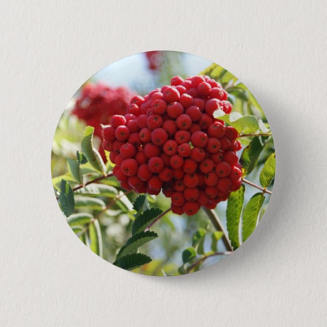 Red Rowan Berries Button (Front)