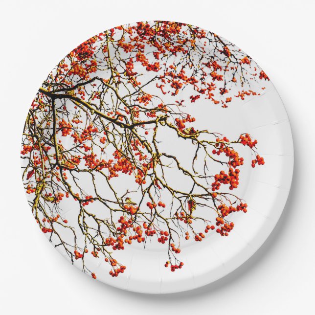 Red rowan fruits or ash berries paper plates (Front)