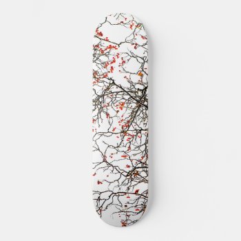 Red Rowan Fruits Or Ash Berries Skateboard by DigitalSolutions2u at Zazzle