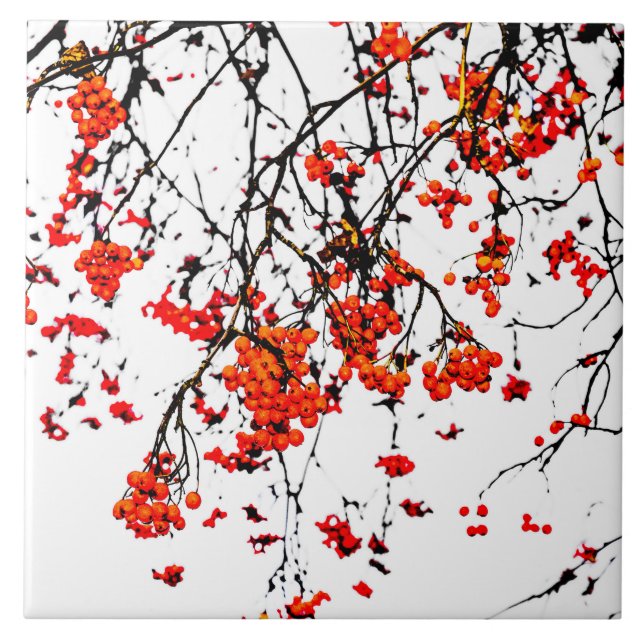 Red rowan fruits or ash berries tile (Front)