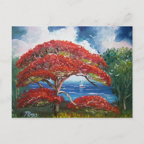 Red Royal Poinciana Tree and Sailboat Postcard