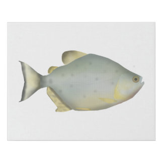 Red Ruby Piranha Faux Canvas Print
