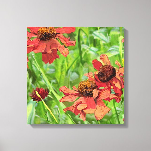 RED RUDBECKIA FLOWERS CANVAS PRINT (Front)