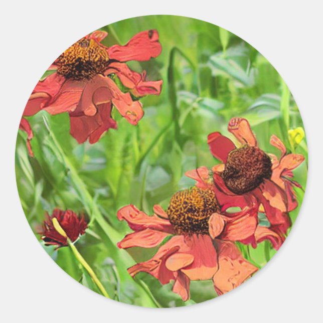 RED RUDBECKIA FLOWERS CLASSIC ROUND STICKER (Front)