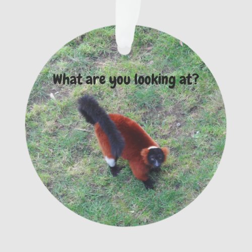 Red Ruffed Lemur 1_2 Ornament