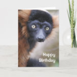 Red Ruffed Lemur Greeting Card