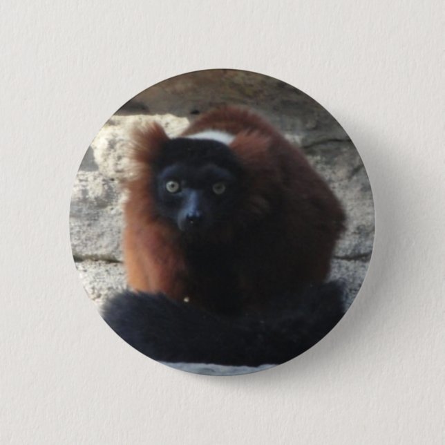 Red Ruffed Lemur Pinback Button (Front)