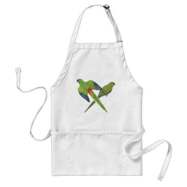 Red-rumped Parrot Pair - Psephotus haematonotus Adult Apron (Front)