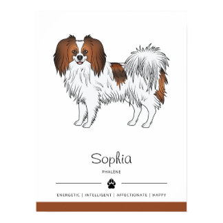 Red Sable Phalène With Breed Traits And Dog's Name Poster