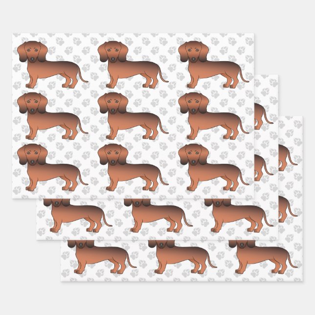 Red Sable Smooth Coat Dachshund Cute Dog Pattern Wrapping Paper Sheets (Set)