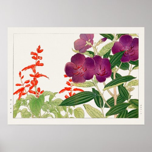 Red Salvia and Purple Melastoma by Tanigami Konan Poster