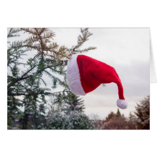 Red Santa cap on the fir Cards