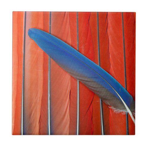 Red Scarlet Macaw Feather Still Life Ceramic Tile