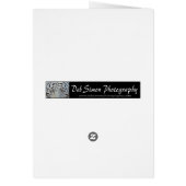 Red Screech Owl (Back)