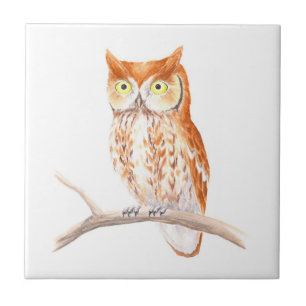 Red Screech Owl Tile