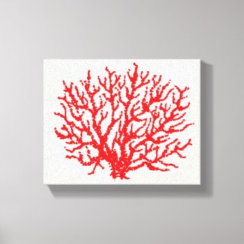 Red Sea Coral Wall Art by suncookiez at Zazzle