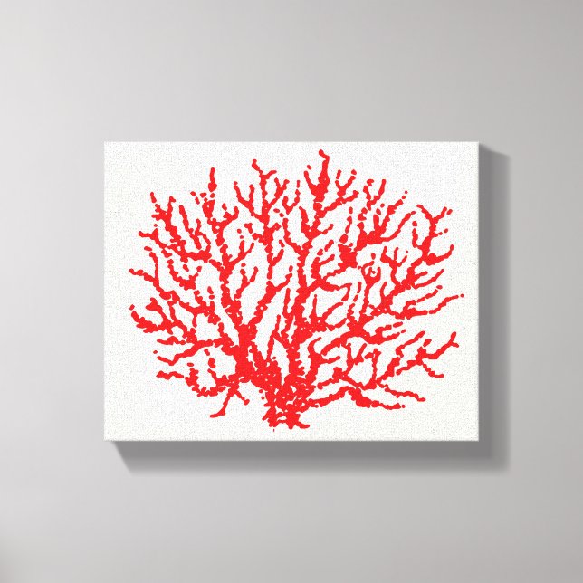 Red Sea Coral Wall Art  (Front)