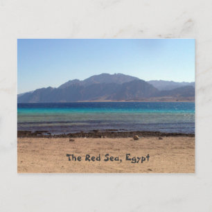 Red Sea Laguna Postcard
